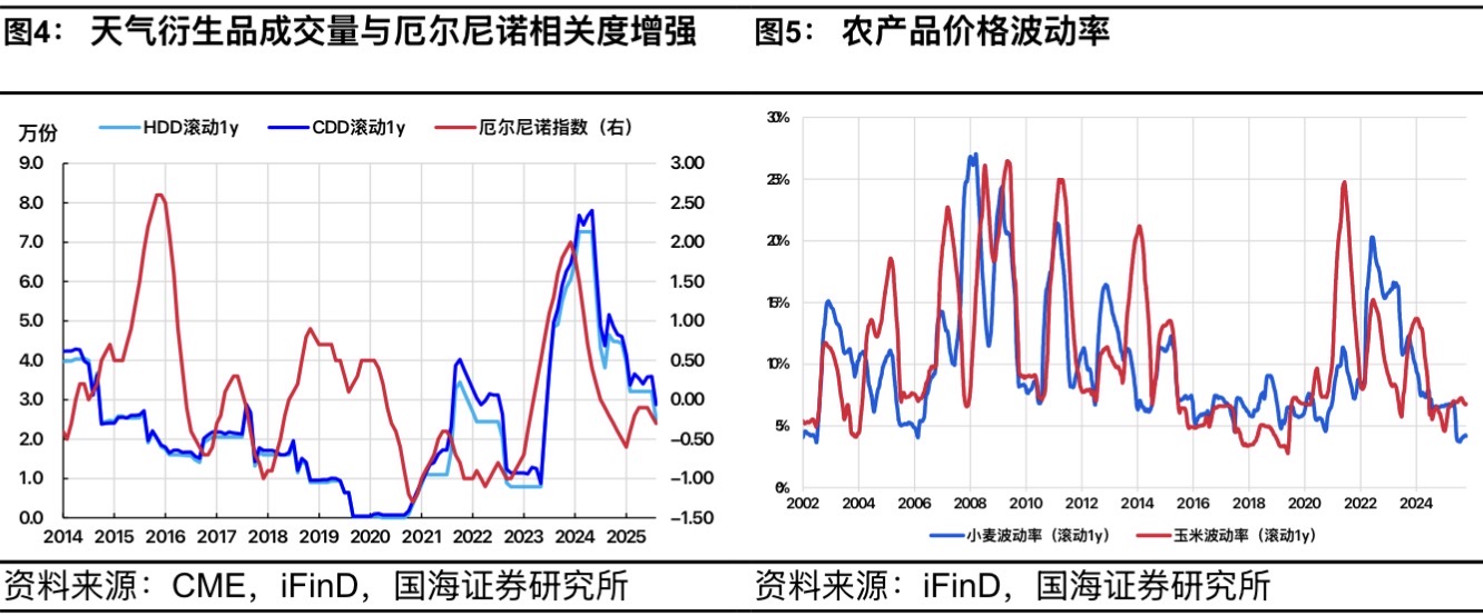 IMG_2026.jpeg IMG_2026.jpeg