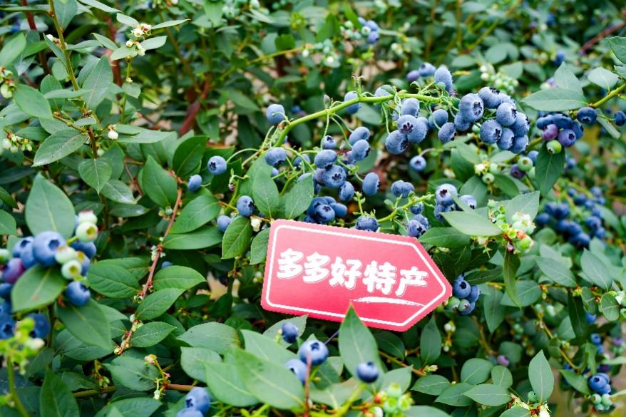 图片1.png 图片1.png