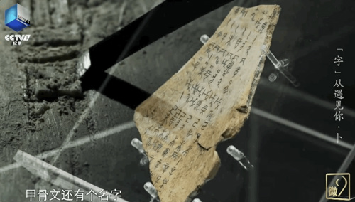 关于殷商王朝的10个知识点，观影必备！ 中国基金报