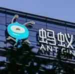 蚂蚁基金2.1亿基民盈利：八成权益基民年内盈利，定投盈利概率高两成