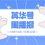英华号周播报|金价破“4”之后，下一步怎么走？坚守价值投资是否是“固执己见”？