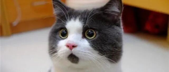 隔空反驳同僚 美联储主席候选人沃勒坚持主张12月降息