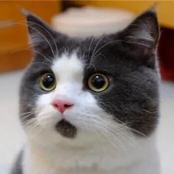 实控人进行离婚财产分割，善水科技实控人变更为吴新艳