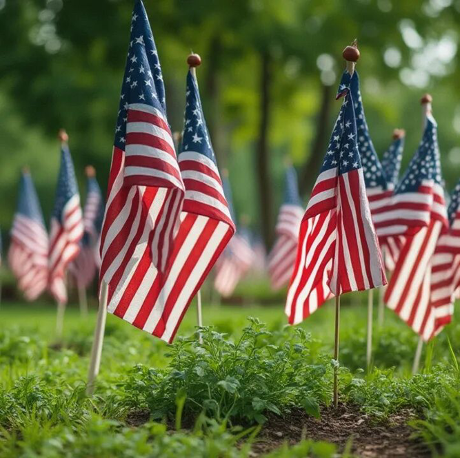 美众议院通过结束政府“停摆”法案，送交特朗普签署