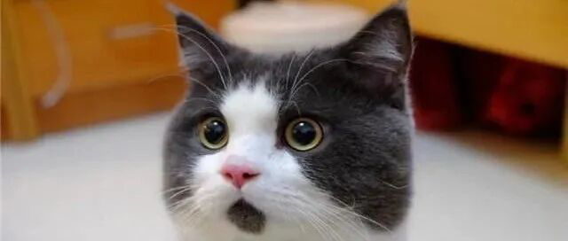 回顾周末大事，汇总十大券商最新研判