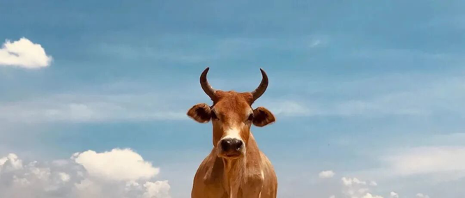 周末，两个利好！一是国内已建成首条大容量全固态电池产线，目前正在小批量测试生产；二是美联储官员认为近期可能需要再次降息