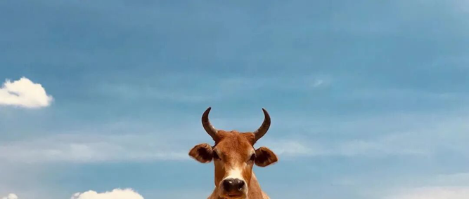 大金融板块助力港股上涨，中国太平涨超7%，中国平安涨6.71%，金融监管总局发布利好消息