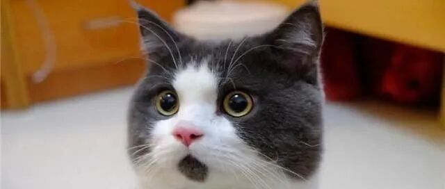 沪银暴涨创新高