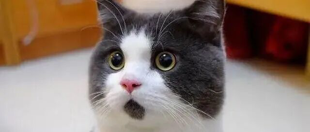 芝加哥商品交易所 (CME) 在金银价格历史性暴跌后提高黄金和白银的保证金