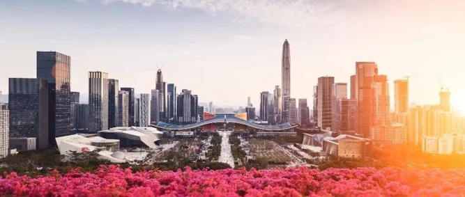 深圳市上市公司数量达600家，市值超19万亿元！打造创新与高质量发展的“深圳样本”