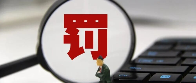 容百科技超1200亿元合同涉嫌误导性陈述，拟被警告并处以罚款