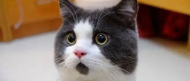 由于美国关税政策转变，印度推迟了对华盛顿的贸易访问