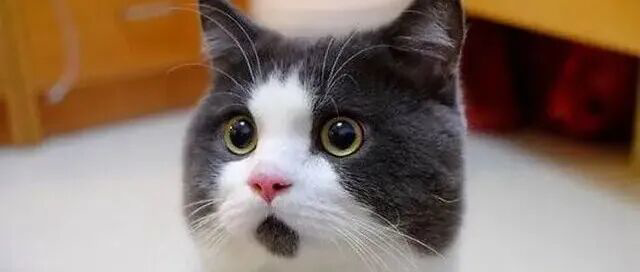 霍尔木兹海峡的新消息