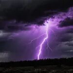 涉嫌信息披露违法违规，ST泉为及实控人被立案