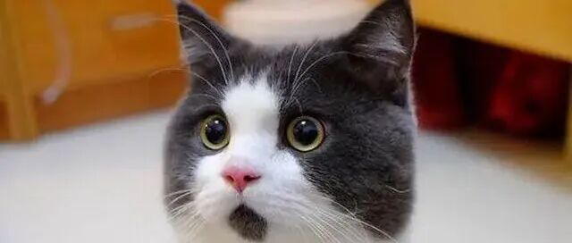 中东的一些事，以及十大券商最新研判