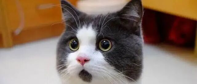 DeepSeek融资大消息