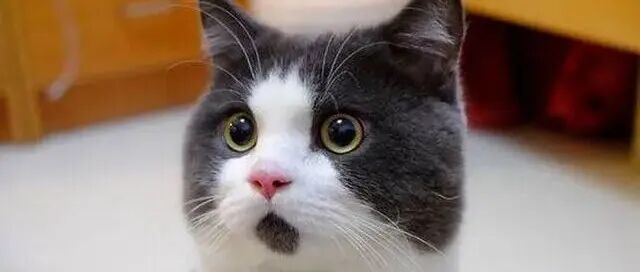 回顾周末大事，汇总十大券商最新研判