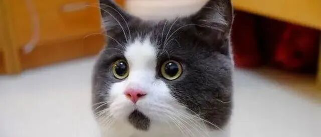 美股整体调整，存储概念股美光科技、闪迪股价暴涨，均再创新高