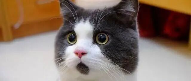 市场奇观：原油，存储芯片联手暴涨