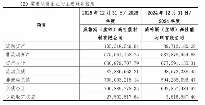 威格斯盘锦财务信息11.jpeg