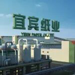 走出“五连板”行情后，宜宾纸业上半年归母净利润最高预亏6150万元