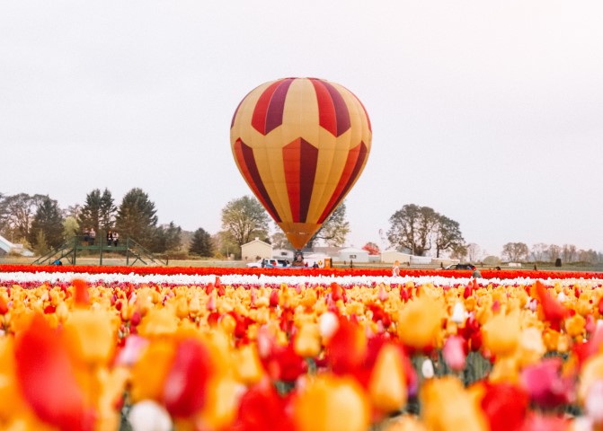 泡泡玛特股价腰斩之际，段永平卖出看跌期权建仓并表示或将持续加仓